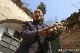 九旬耋耄老人眼不花耳不聋头脑经济发达，自己培育牡丹苗，能卖钱图片