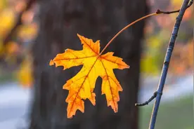 适时地示弱是智慧，也是人生修养图片