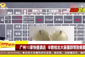 卫生状况堪忧！广州十家快捷酒店，竟半数都检出大肠杆菌等致病菌视频封面