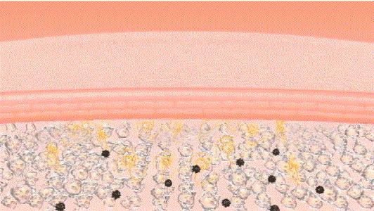 莱凯娜香水身体乳