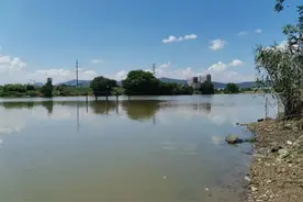 钓黑坑4大错觉，只要占2个就难上岸，与野钓差别太大图片