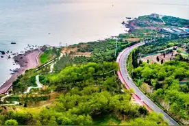 颜值爆表！青岛这条海滨大道，一半绿意盎然一半海景如画，超适合骑行！图片