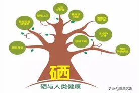 健康科普堂 | 小“硒”作用大，治“甲”作用佳图片