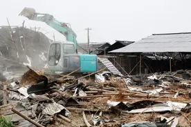 好事情来了，农业农村部：小养猪场取消环评，2笔奖补惠及养猪户图片