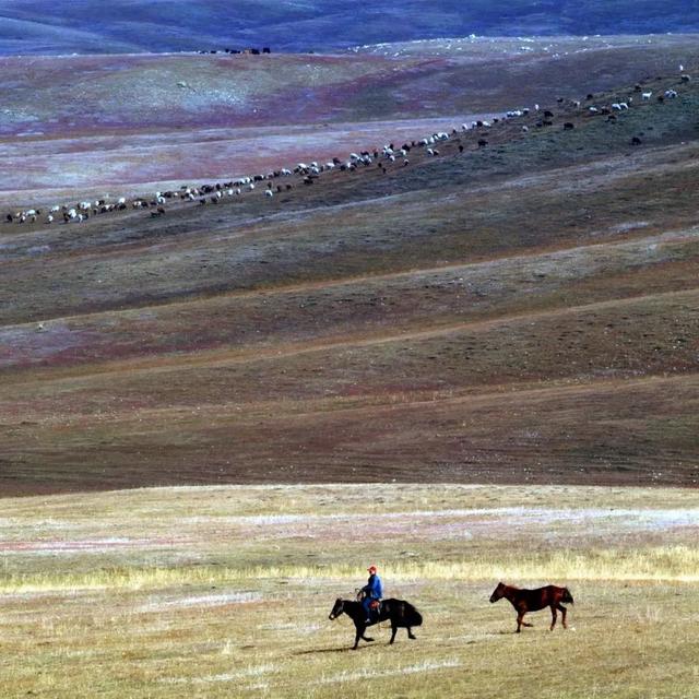 100幅顶级摄影师的获奖摄影