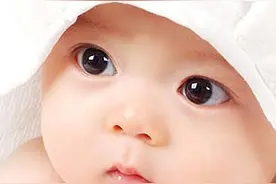 3个月宝宝早教图片