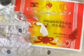 陕西一女孩奖状刚拿回家就被哈士奇撕碎，妈妈：二哈越打越兴奋图片
