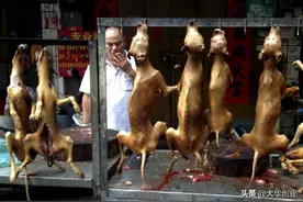 6.21广西玉林狗肉节又来了，狗肉节应该废止吗？看看本地人怎么说图片