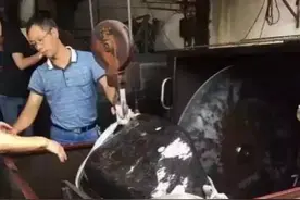 叫价200万的赌石，小伙软磨硬泡50万买下！一刀切下去脸都绿了图片