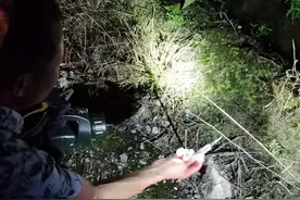 私拉电网！抚州一男子被拘图片