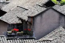 当父母对子女越来越冷淡的时候，说明他们真的老了图片