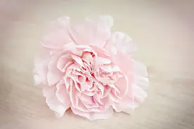 中年女人想跟你发展关系，才会开这几种玩笑图片