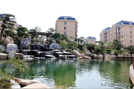 如果你想做一座假山那需要多少钱图片