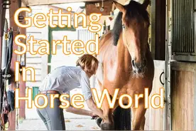 五个技巧，将帮助初学者开启马术世界图片