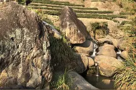 狮城学者的安溪乡村调查图片