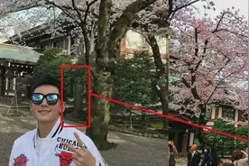 张哲翰留影日本神社与2001年赵薇身穿日本军旗装事件有联系吗？图片
