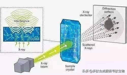 澶氳偨鐨勭粨鏋勫垎鏋愭柟娉? onerror=