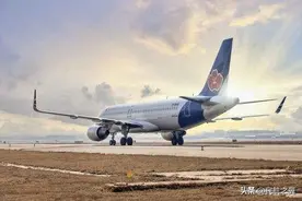 青岛航空又有大动作图片