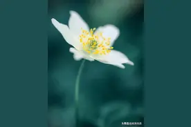 男人四十与女人四十图片