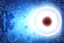 吃出健康的再生防御系统，促进身体自我更新图片