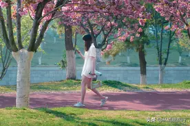 北方最具养老潜力的小城，三面环海，冬暖夏凉，干净整洁物价低图片