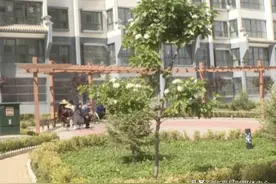 【走向我们的小康生活•决战决胜脱贫攻坚】临夏县漫路乡：搬出大山挪穷窝图片