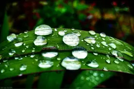 为何民间认为农历5月25是个传统雨日？有何说法？五句老话看详因图片