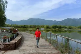 石家庄最大的公园“龙泉湖湿地公园”，不收门票，游客寥寥无几图片