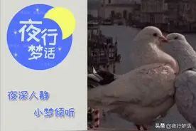磕CP的人，到底是在磕什么？图片