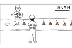 为什么拉肚子的屎，比正常拉的屎要臭？图片