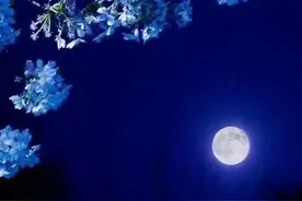 《风居住的街道》听风中的故事图片