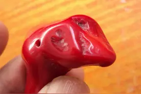红珊瑚的生理作用简介-众享珠宝，乐大福图片