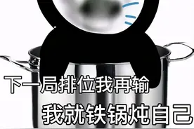 表情包：下一局排位我再输，我就铁锅炖自己（29）图片
