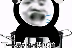 表情包：下一局排位我再输，我就铁锅炖自己（29）图片