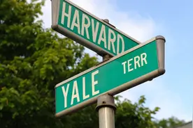 “鸡娃”与“内卷”：精英教育的本质是什么？图片