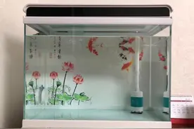 60鱼缸用多大流量的水泵，60鱼缸怎么选择水泵，60的鱼缸图片