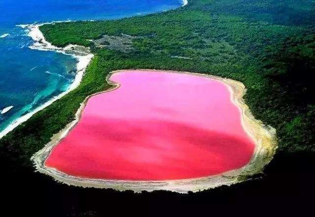 新型冠状病毒138：极端嗜热菌，极端嗜盐菌，“蛋”字的起源