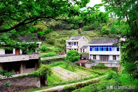 藏在山岙中的古村，被称为浙东香格里拉，游人却不多，真的太美了图片