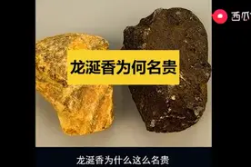价值千金的龙涎香，西瓜视频科学风尚来告诉你为什么那么昂贵图片