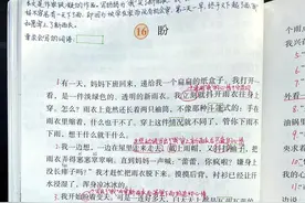 小学语文六年级上册第17课《盼》超详细教师笔记图片