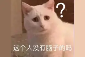 静态表情包大分享图片