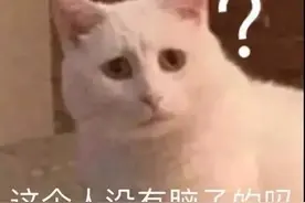 静态表情包大分享图片