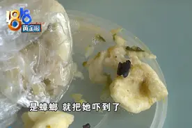 医院早餐的包子，吃出半只蟑螂图片