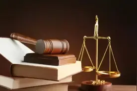 二审、再审傻傻分不清？还有哪些注意事项？一文说清图片