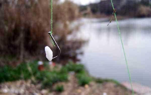 剩米饭钓鱼老是钓不到、钓不好，这几个细节没做到，当然效果不行
