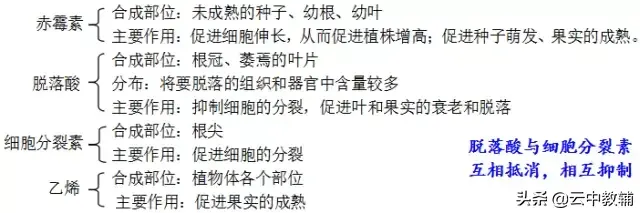 高中生物必修三知识点总结