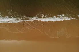 什么是科研？如何做科研？图片