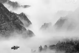 小说：一个名叫鹤舞的女子，痴痴的同一只巨大的仙鹤在跳舞图片
