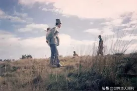 情人英儿：诗人顾城自杀背后的北大才女，后来怎么样了？图片