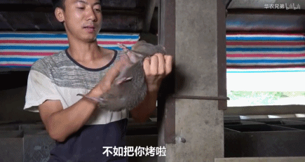 日本电影鸡皮疙瘩百度云资源